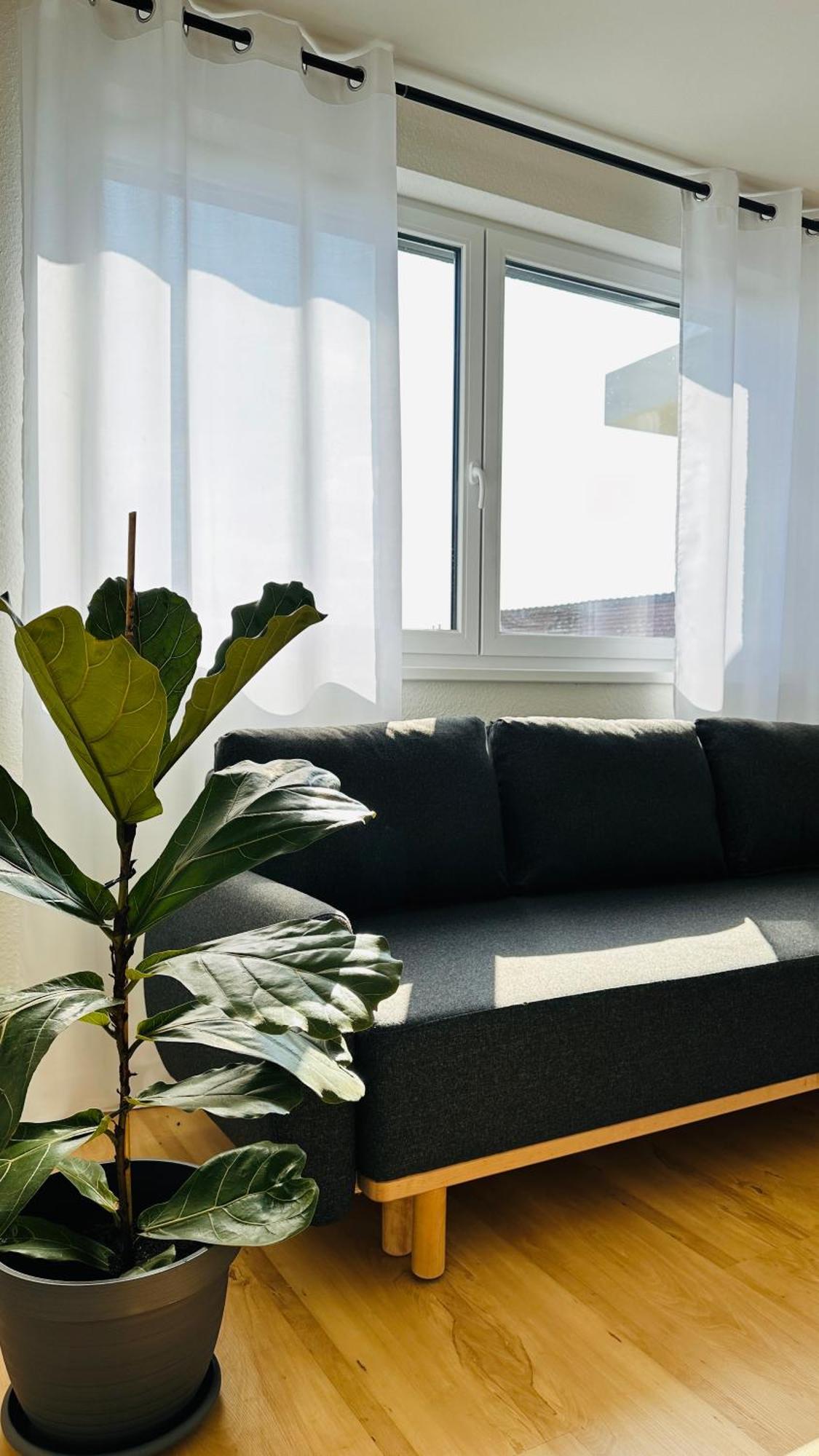 Amao-Sepia I 86Qm I King-Size Beds I Netflix I Privat Balcony I Free Parking I Near Europapark Apartment Rheinhausen Luaran gambar